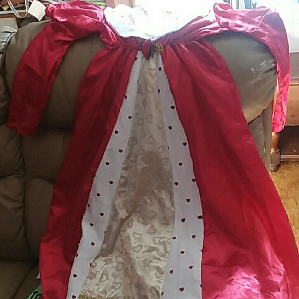 Girls size L costume